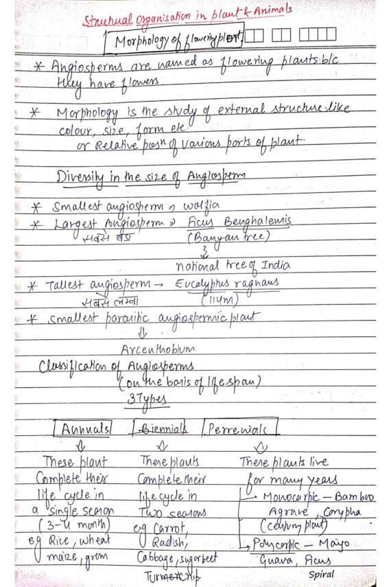Chapter-5: Morphology of Flowering Plants class 12 Biology notes for cbse board and NEET