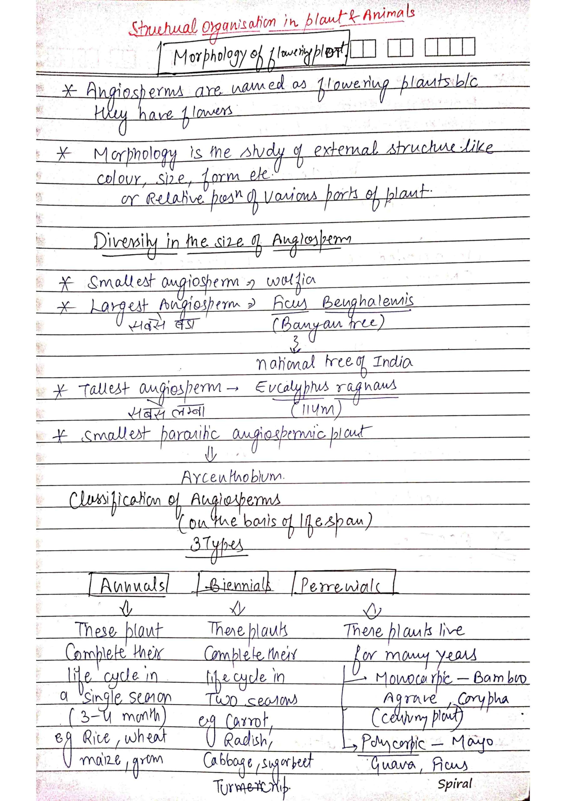 Chapter 5 Morphology Of Flowering Plants Class 12 Biology Notes For Cbse Board And Neet Shop 7715