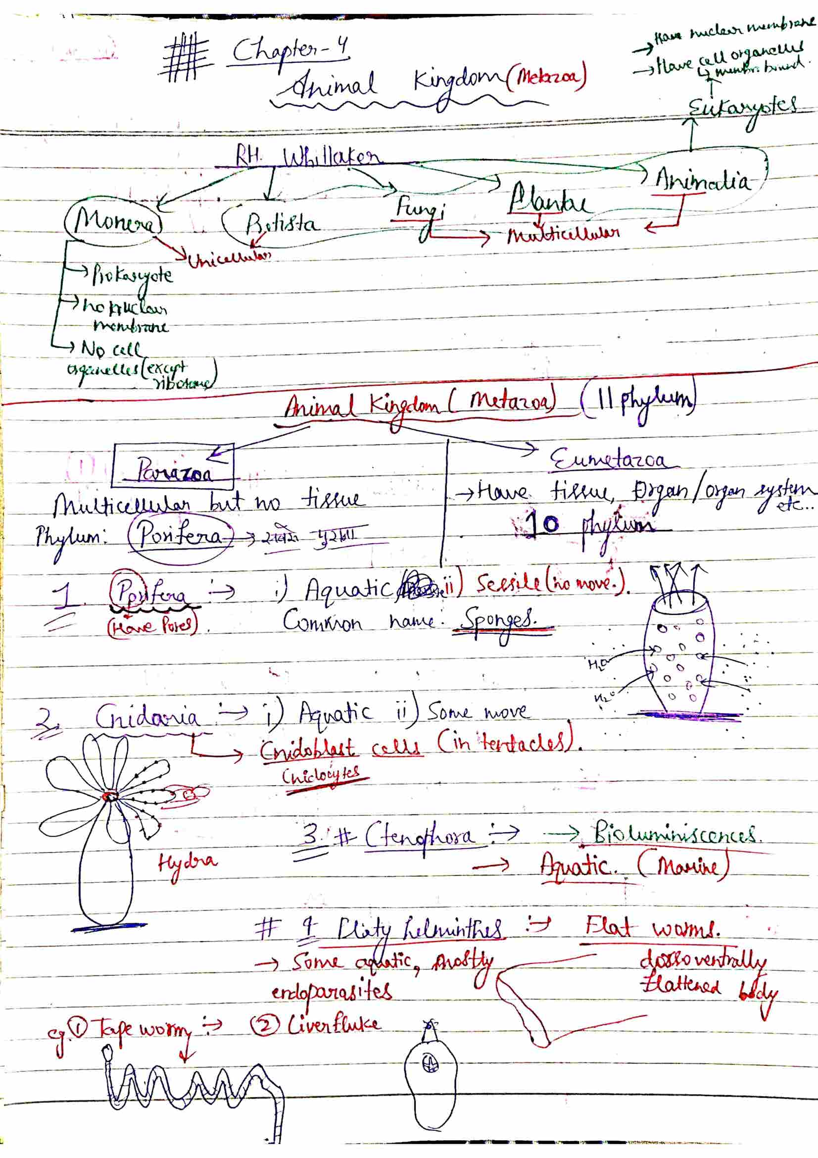 Chapter-4: Animal Kingdom class 12 Chemistry notes for cbse board and NEET