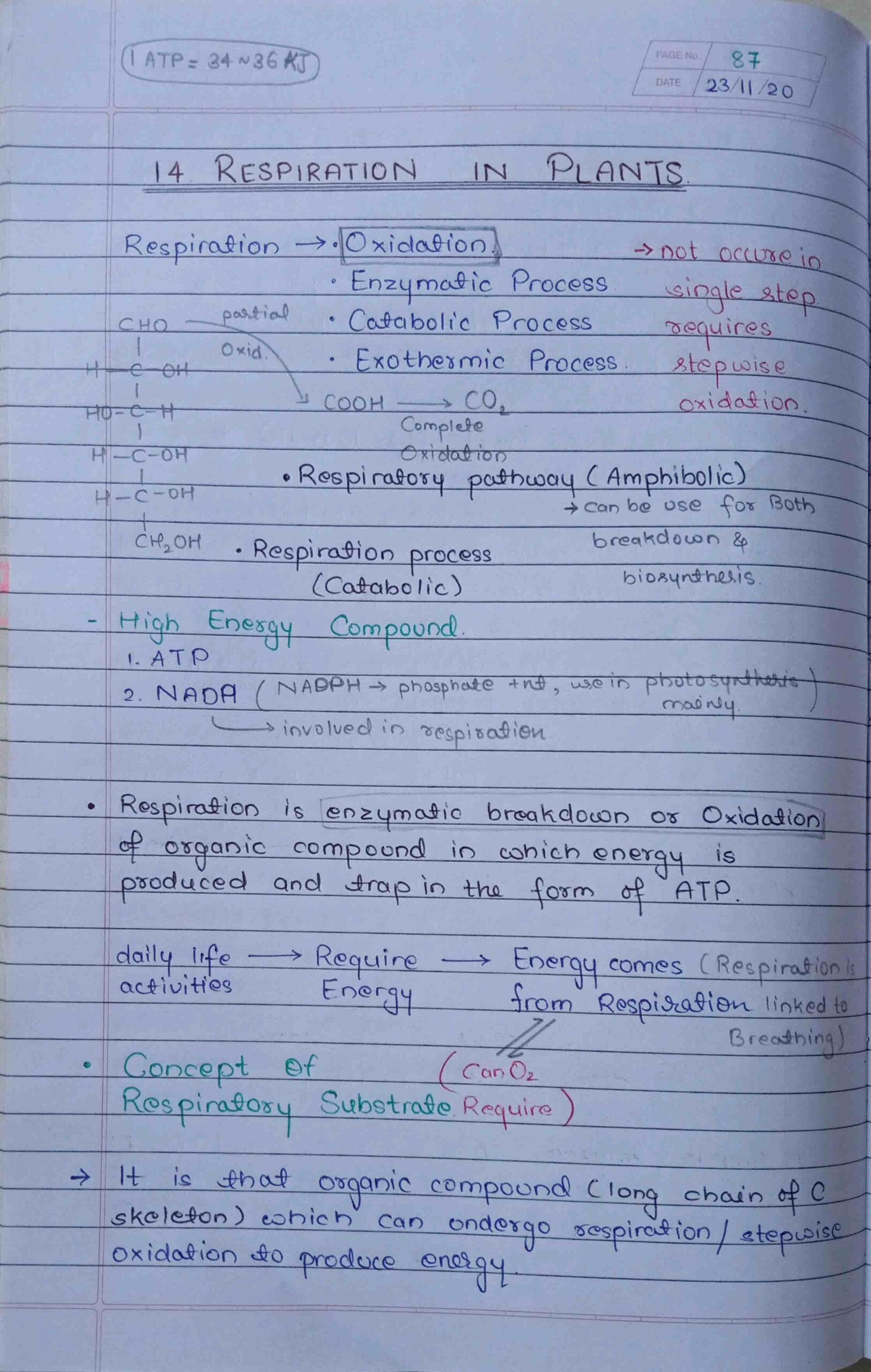Chapter-14: Respiration in Plants Class 12 Chemistry notes for CBSE Board  and NEET or JEE