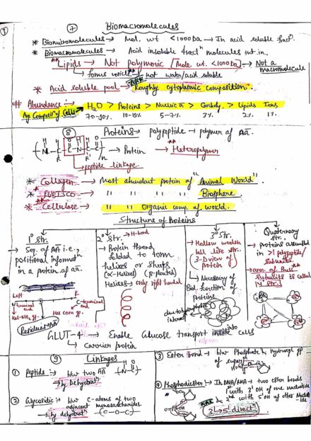 Chapter-9: Biomolecule class 12 Biology notes for cbse board and NEET