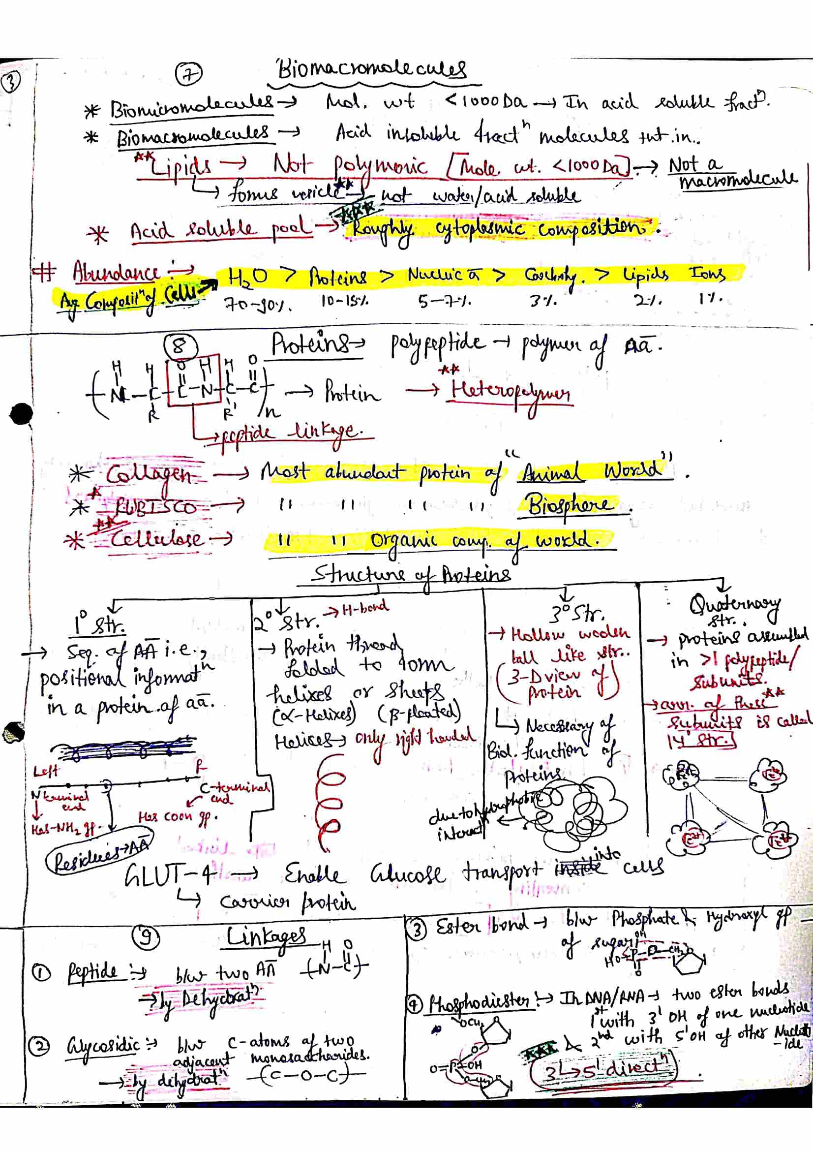 Chapter 9 Biomolecule Class 12 Biology Notes For Cbse Board And Neet Shop Handwritten Notes Shn 