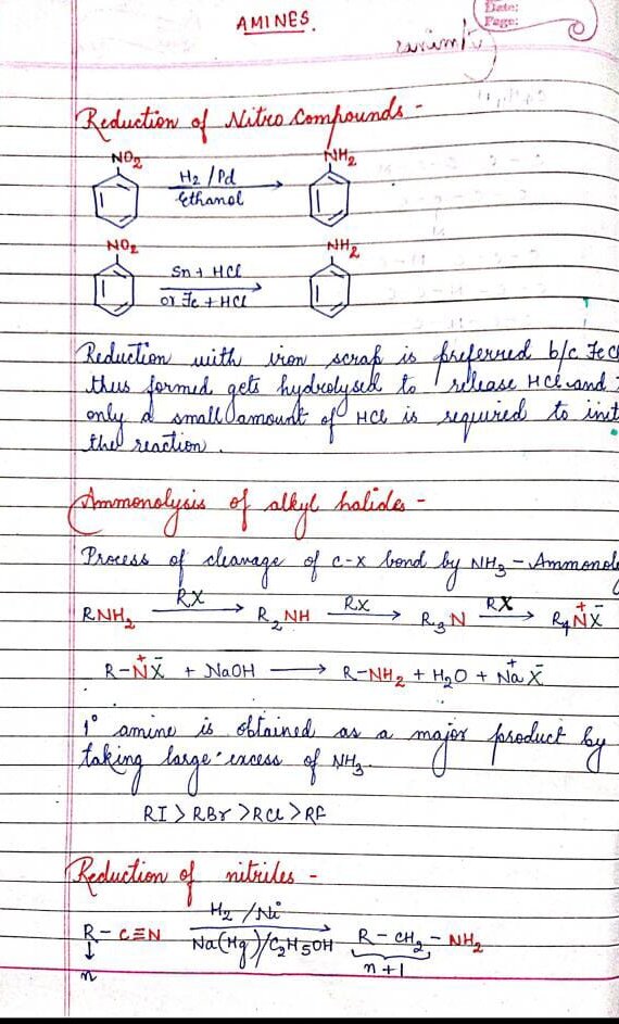 Chemistry Chapter Amines Handwritten Notes PDF