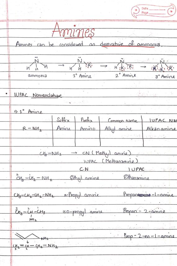 Organic compound containing nitrogen -Amines introduction