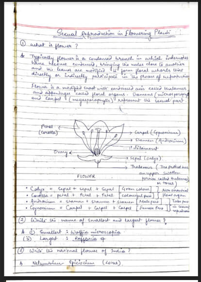 Sexual reproduction in Flowering plants (Class 11-12) Handwritten Notes