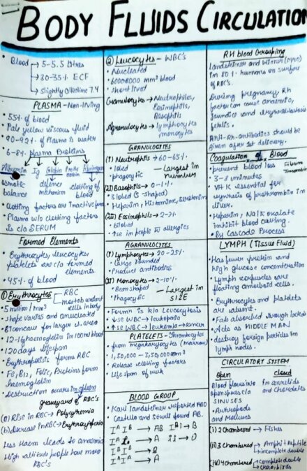 short-notes-class-11-biology-human-physiology-for-neet-shop