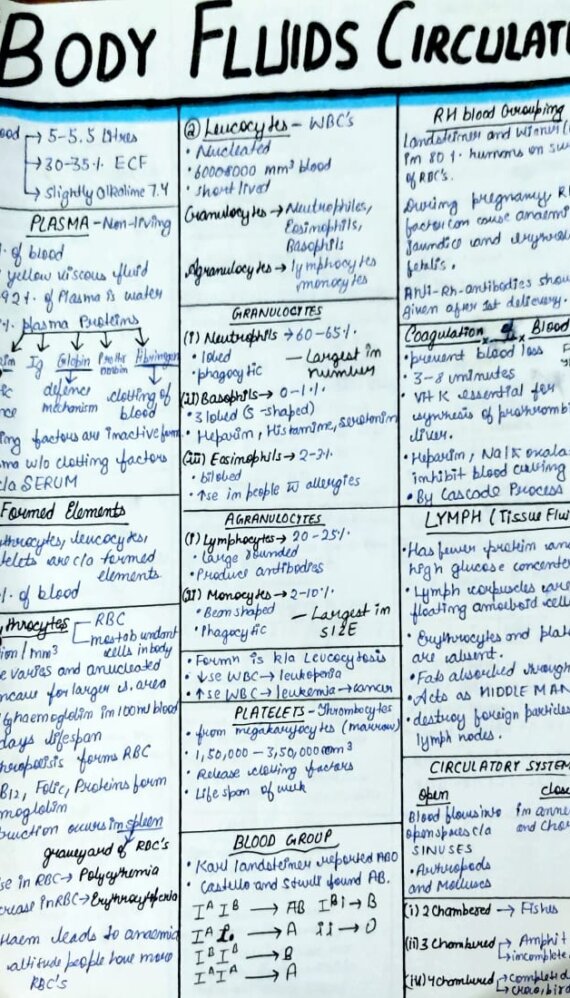 Human Physiology Class 12 Biology Neet Notes