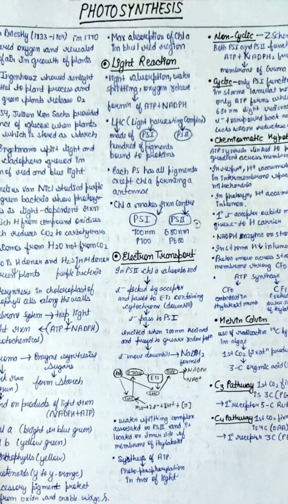 Short Notes Plant Physiology