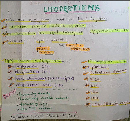 Lipoproteins notes PDF – Best Handwritten Notes for MBBS, NEET and ...