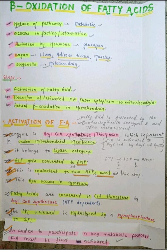 Fatty acids oxidation Notes PDF