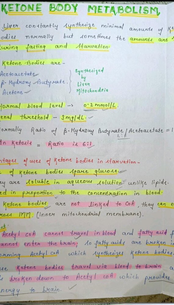 Ketone bodies metabolism Notes PDF - Best Handwritten Notes for MBBS, NEET and Competition