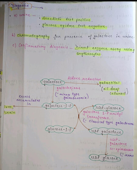 Galactosemia Notes PDF – Best Handwritten Notes for MBBS, NEET and ...