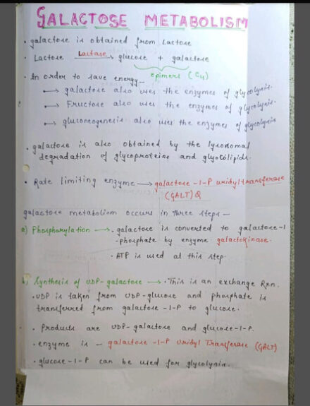 Galactose metabolism Handwritten Notes PDF