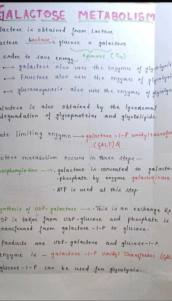Galactose metabolism Handwritten Notes PDF