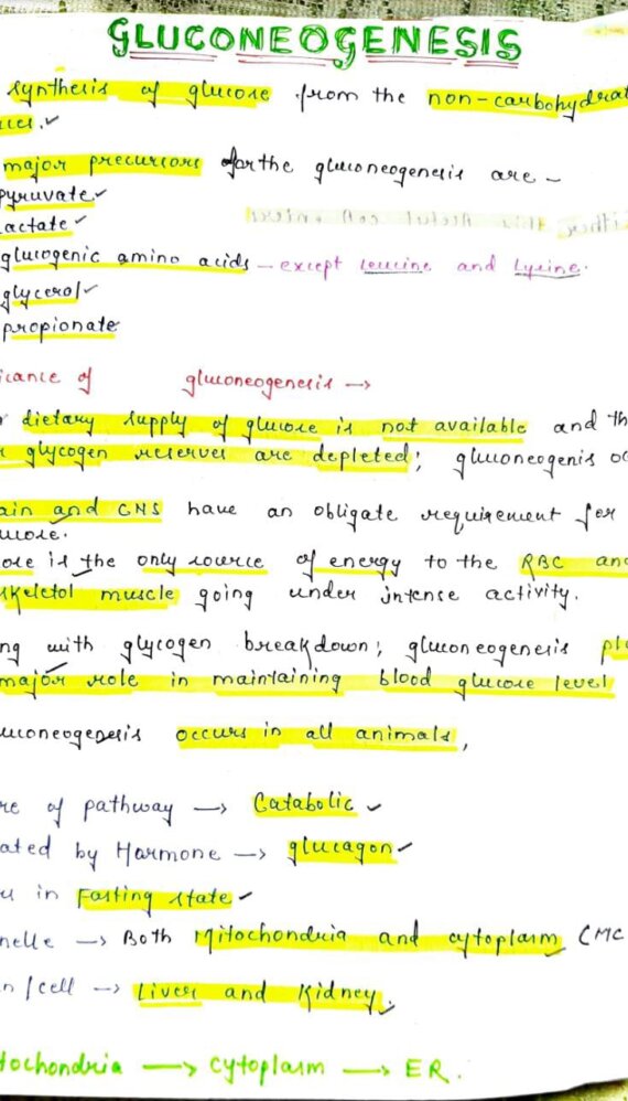 Gluconeogenesis notes PDF - Best Handwritten Notes for MBBS, NEET and Competition