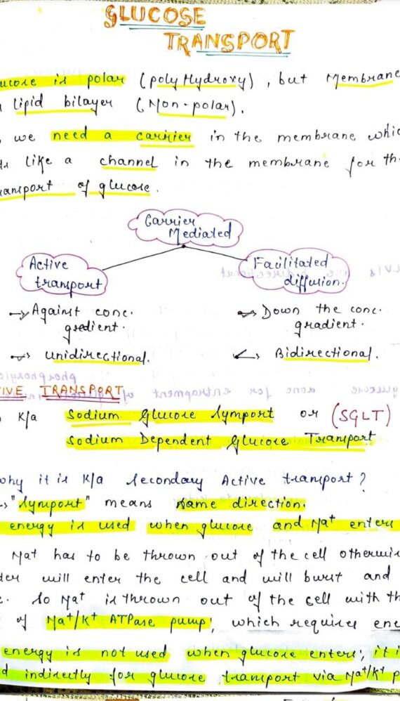Glucose transporters notes PDF - Best Handwritten Notes for MBBS, NEET and Competition