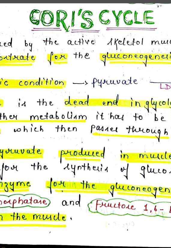 Cori cycle notes PDF - Best Handwritten Notes for MBBS, NEET and Competition