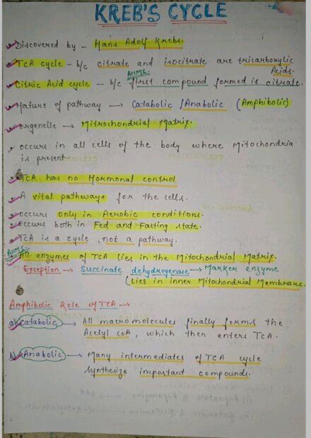 Kreb's cycle Notes PDF - Best Handwritten Notes for MBBS, NEET and Competition