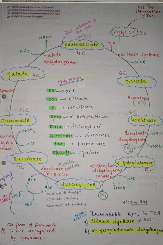 Biochemistry Handwritten Notes PDF for NEET, MBBS and Competitive Exams