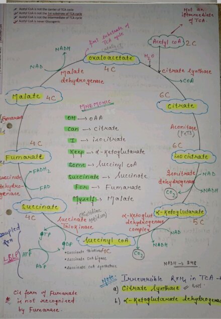 Mbbs biochemistry handwritten notes