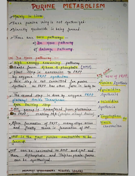 Purine metabolism Notes PDF - Best Handwritten Notes for MBBS, NEET and Competition