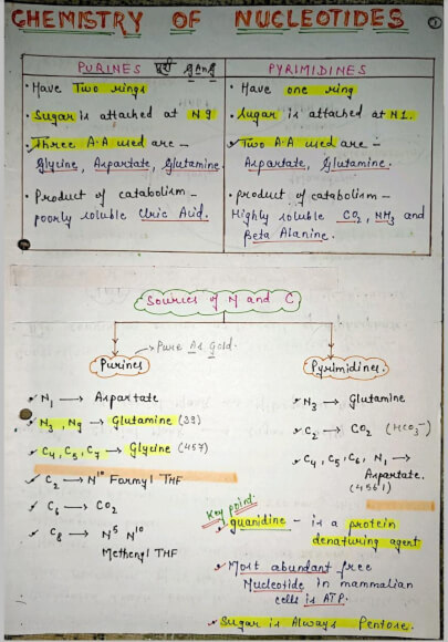 Chemistry of nucleotides Notes PDF - Best Handwritten Notes for MBBS, NEET and Competition
