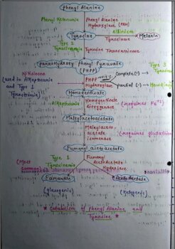 Complete Biochemistry Handwritten Notes PDF For NEET, MBBS And ...