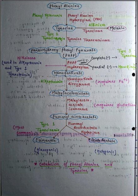 Mbbs biochemistry handwritten notes