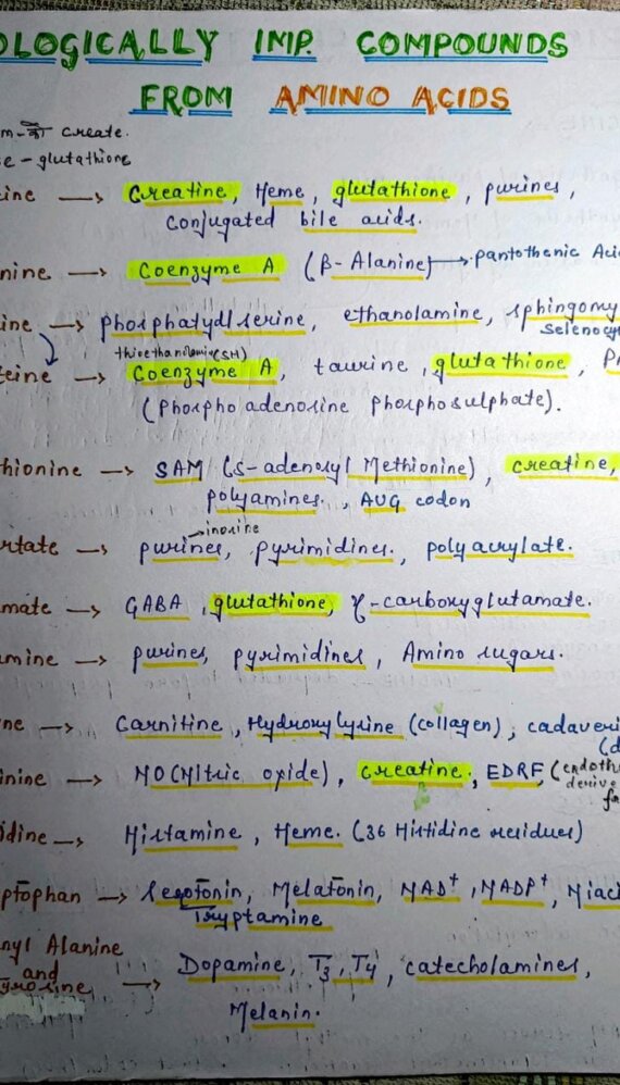 Biologically important amino acids Notes PDF - Best Handwritten Notes for MBBS, NEET and Competition