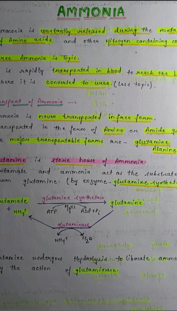 Cahill cycle notes PDF - Best Handwritten Notes for MBBS, NEET and ...