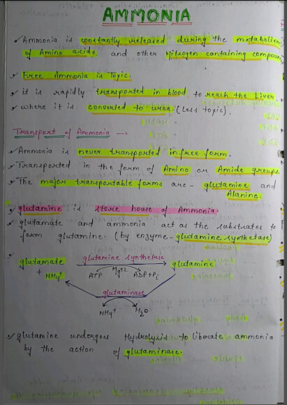 Ammonia Notes PDF - Best Handwritten Notes for MBBS, NEET and Competition