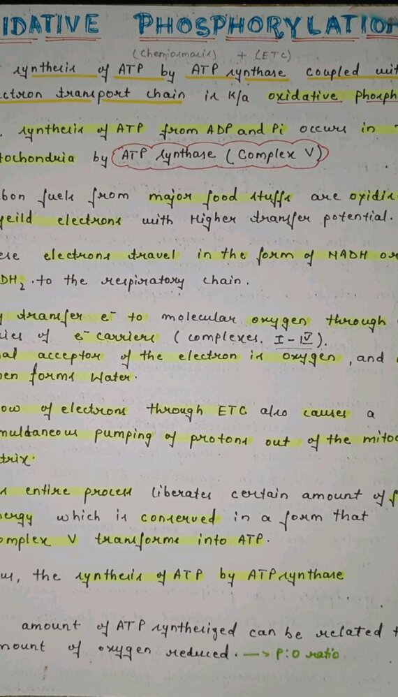 Oxidative phosphorylation Notes PDF - Best Handwritten Notes for MBBS, NEET and Competition