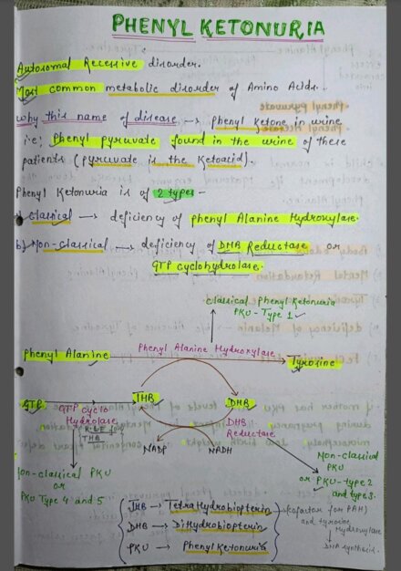 Phenylketonuria Notes PDF - Best Handwritten Notes for MBBS, NEET and Competition