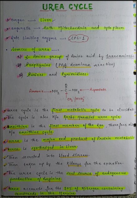 Urea cycle Notes PDF - Best Handwritten Notes for MBBS, NEET and Competition