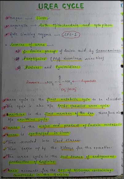Urea cycle Notes PDF - Best Handwritten Notes for MBBS, NEET and Competition