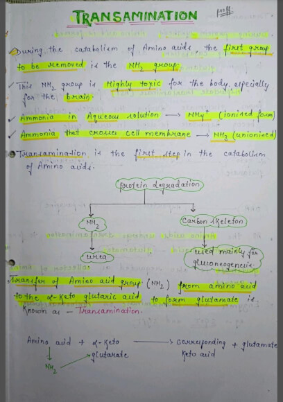Transamination Notes PDF - Best Handwritten Notes for MBBS, NEET and Competition