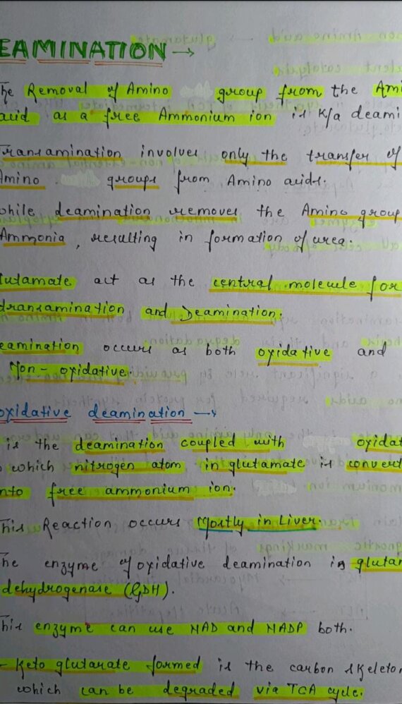 Deamination Notes PDF - Best Handwritten Notes for MBBS, NEET and Competition