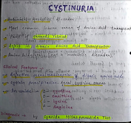 Cystinuria Notes PDF - Best Handwritten Notes for MBBS, NEET and Competition