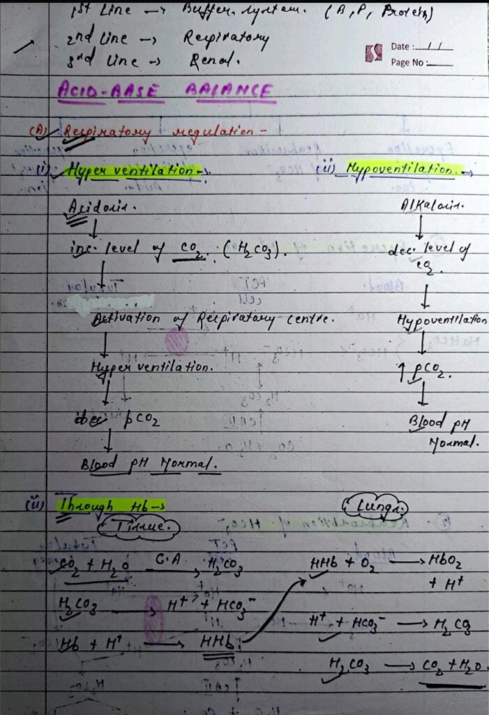 Acid Base Balance Handwritten Notes PDF Download – Shop Handwritten ...