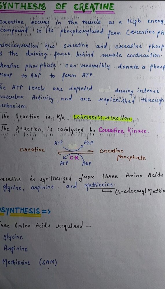 Creatine synthesis Notes PDF - Best Handwritten Notes for MBBS, NEET and Competition