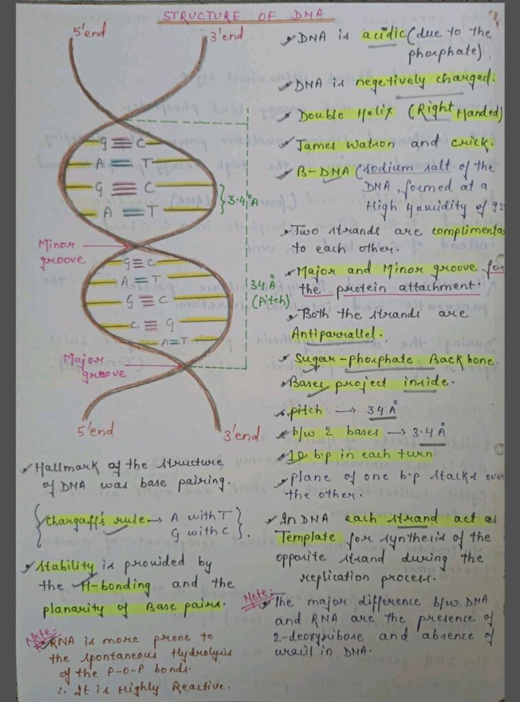 Molecular Biology PDF Notes For MBBS, MSc, BSc And Competitive Exams ...