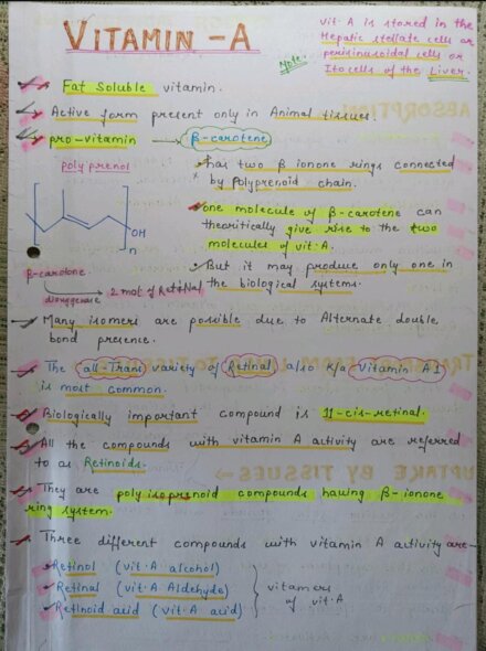 Vitamin A Notes Pdf for Class 12, MBBS, BSc, MSc and Competitive Exams
