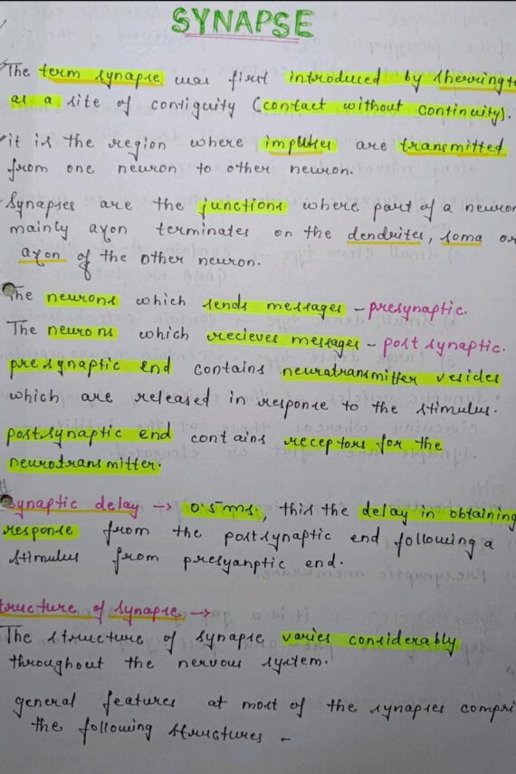 Synapse Handwritten Notes PDF