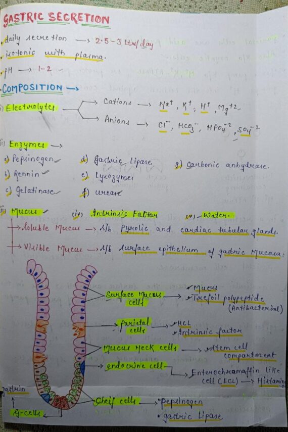 Gastric secretion notes pdf for NEET, MBBS and Competitive exams