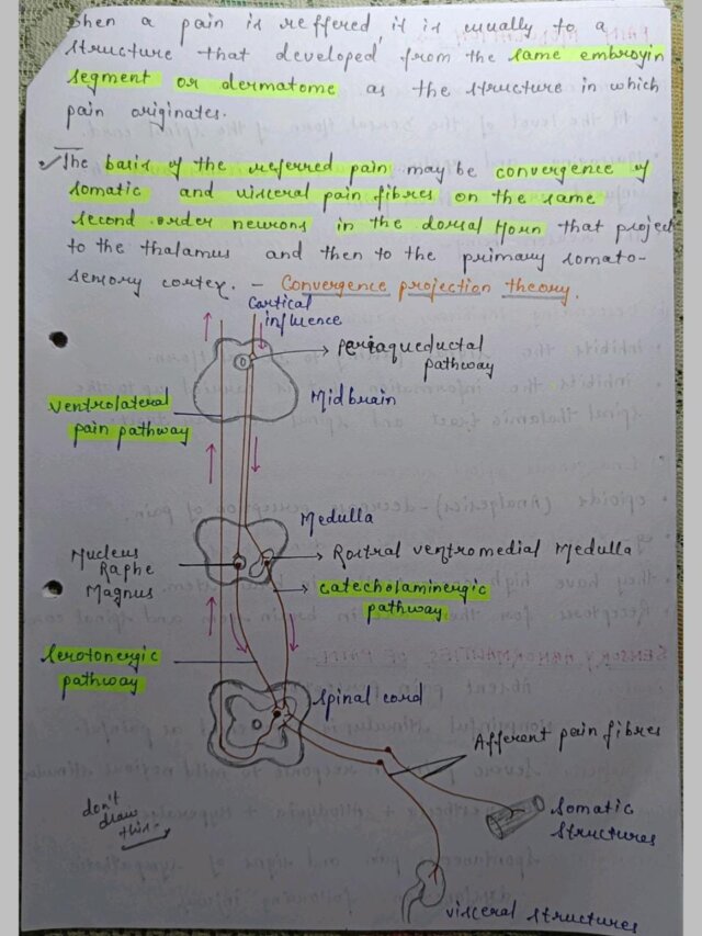 Pain physiology Notes PDF for NEET, MBBS BSc and MSc