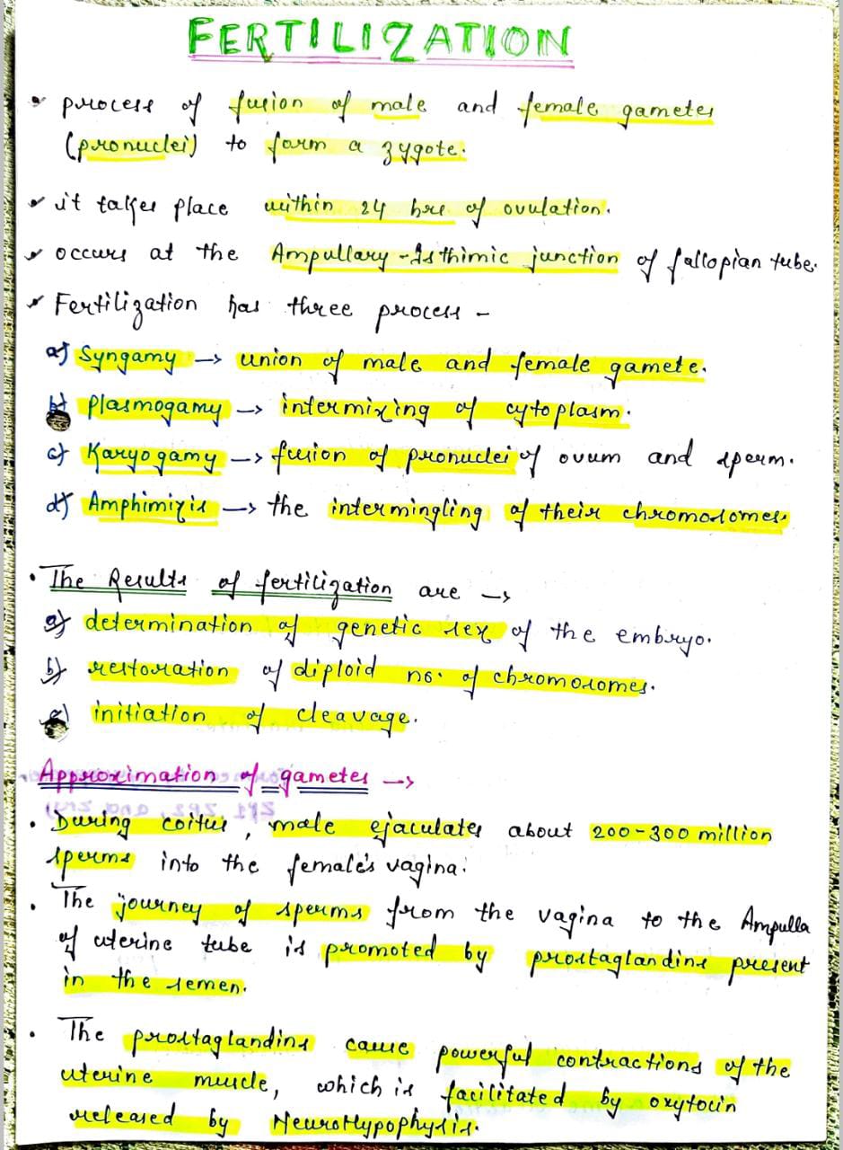 write an essay on fertilization pdf