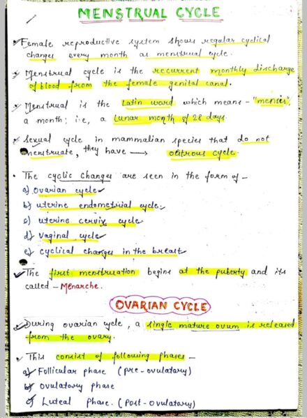 Menstrual cycle Notes PDF for NEET, MBBS BSc and MSc
