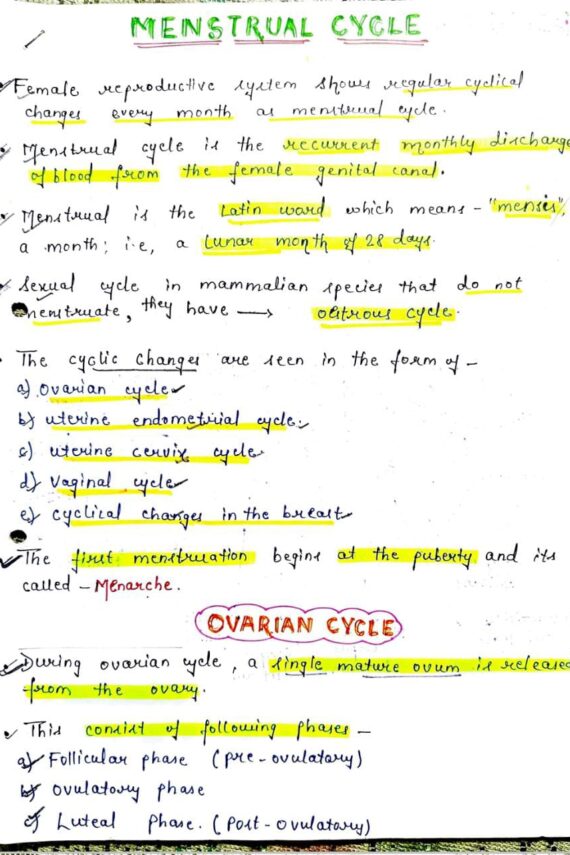 Menstrual cycle Notes PDF for NEET, MBBS BSc and MSc
