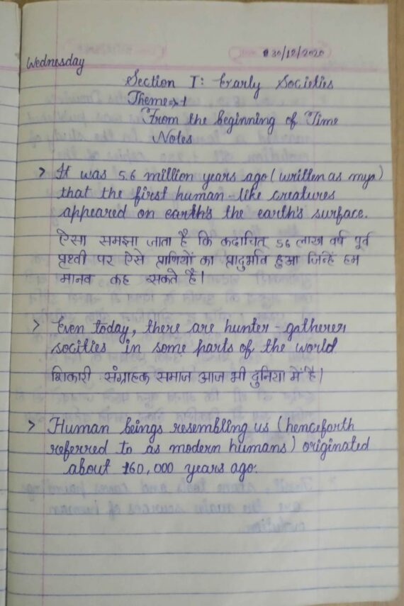 From the beginning of time ( Themes in World History ) ch.1 handwritten notes in English