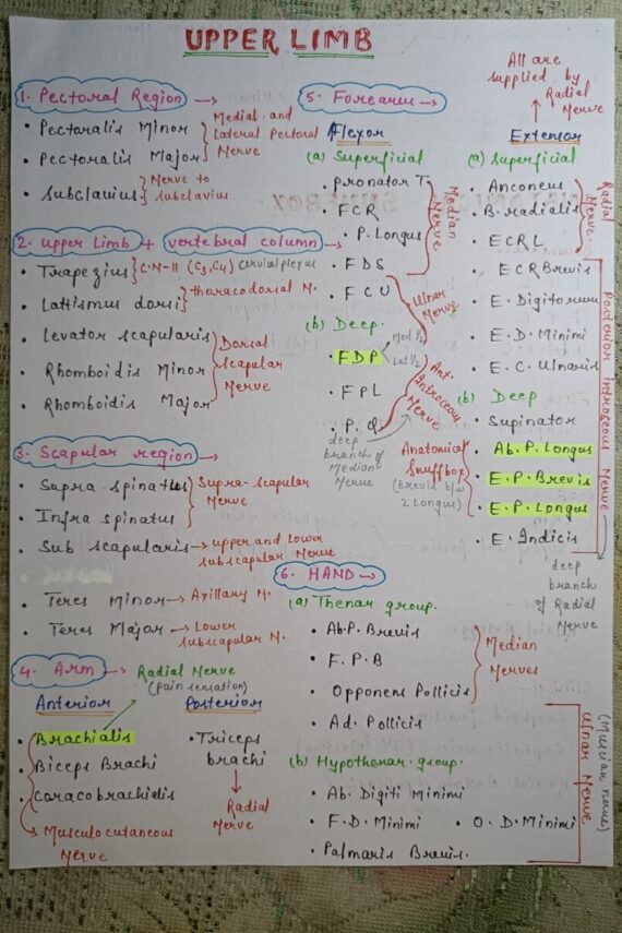 Anatomy muscles notes Notes PDF for MBBS by Swapnil Kushwaha